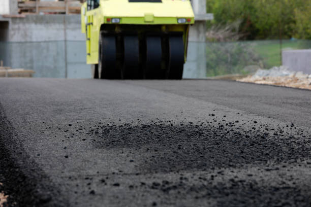 Best Residential Driveway Paver Services  in Holbrook, AZ